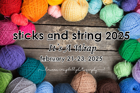 Sticks and Strings 2025(1)