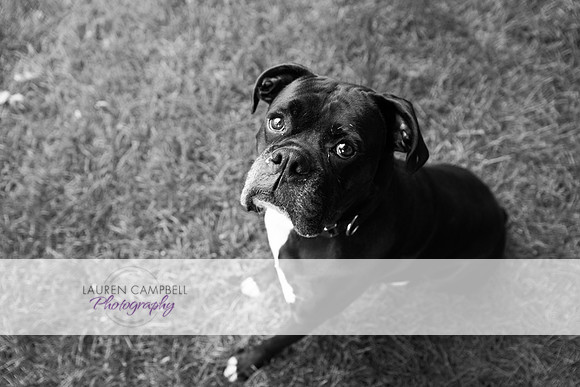 DSC00307a