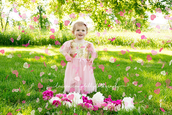 Lauren Campbell Photography
