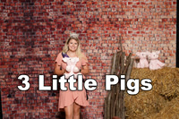 3 Little Pigs