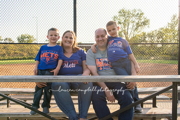 baseball-101016