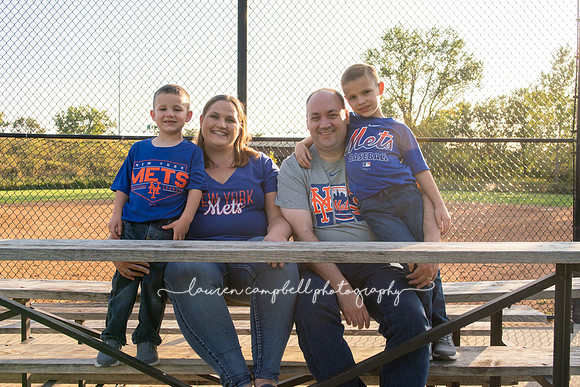 baseball-101014
